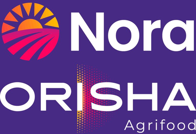 NORA-Logo-Orisha